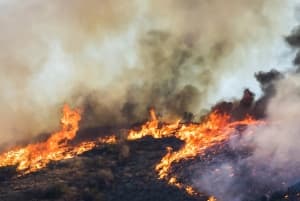 Criminals See Evacuated Homes As Easy Targets