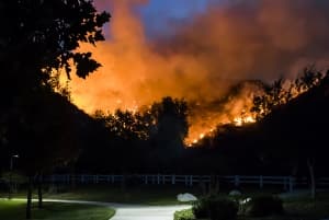 Security Guards Patrol Properties Evacuated By San Francisco Area Fires